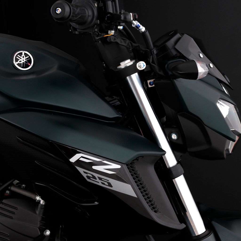 FZ_Verde_Negro01