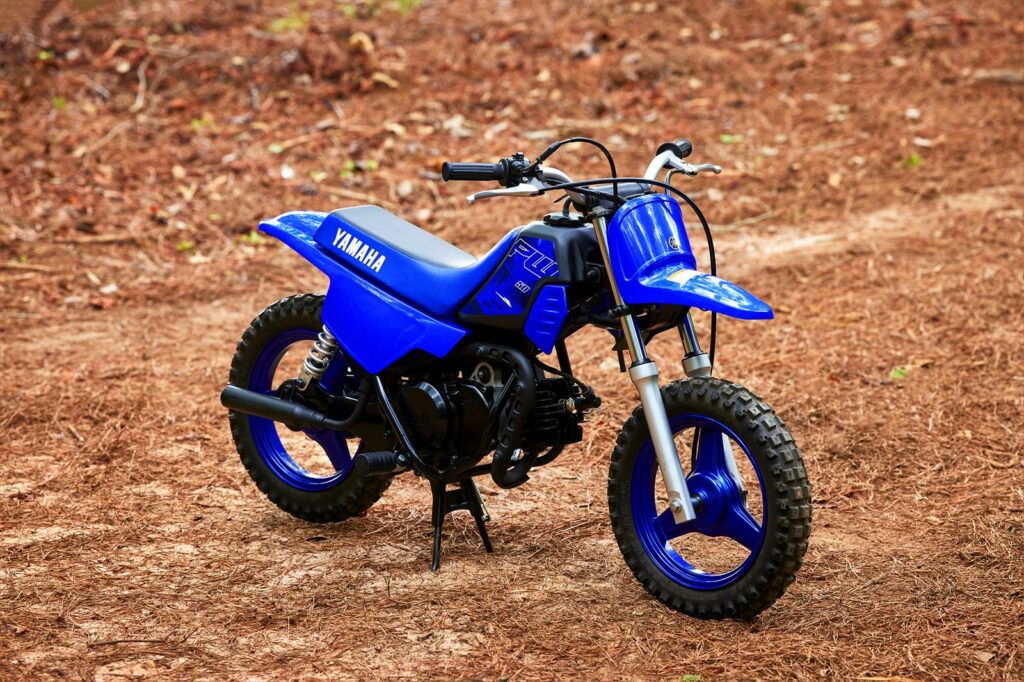img-pw50-2022