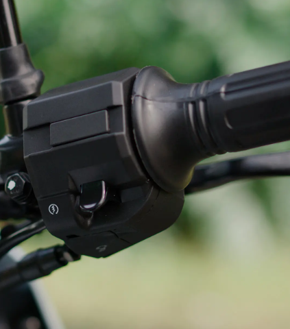 Captura de pantalla 2025-08-15 134713